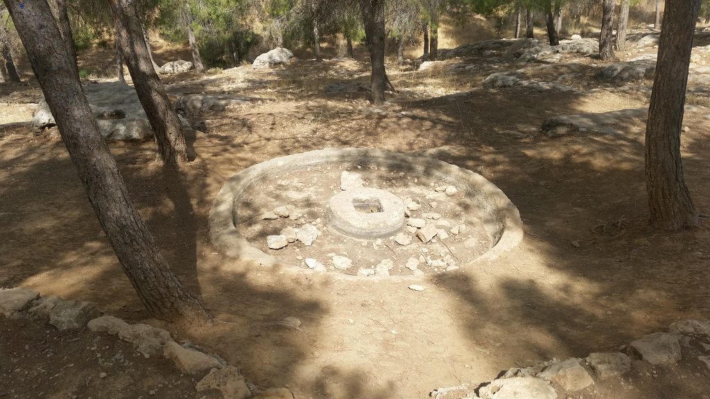 Ancient olive oil press in Yatir Forrest