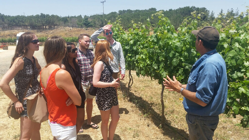 Kibbutz member and Vintner Steve Applebaum with our group